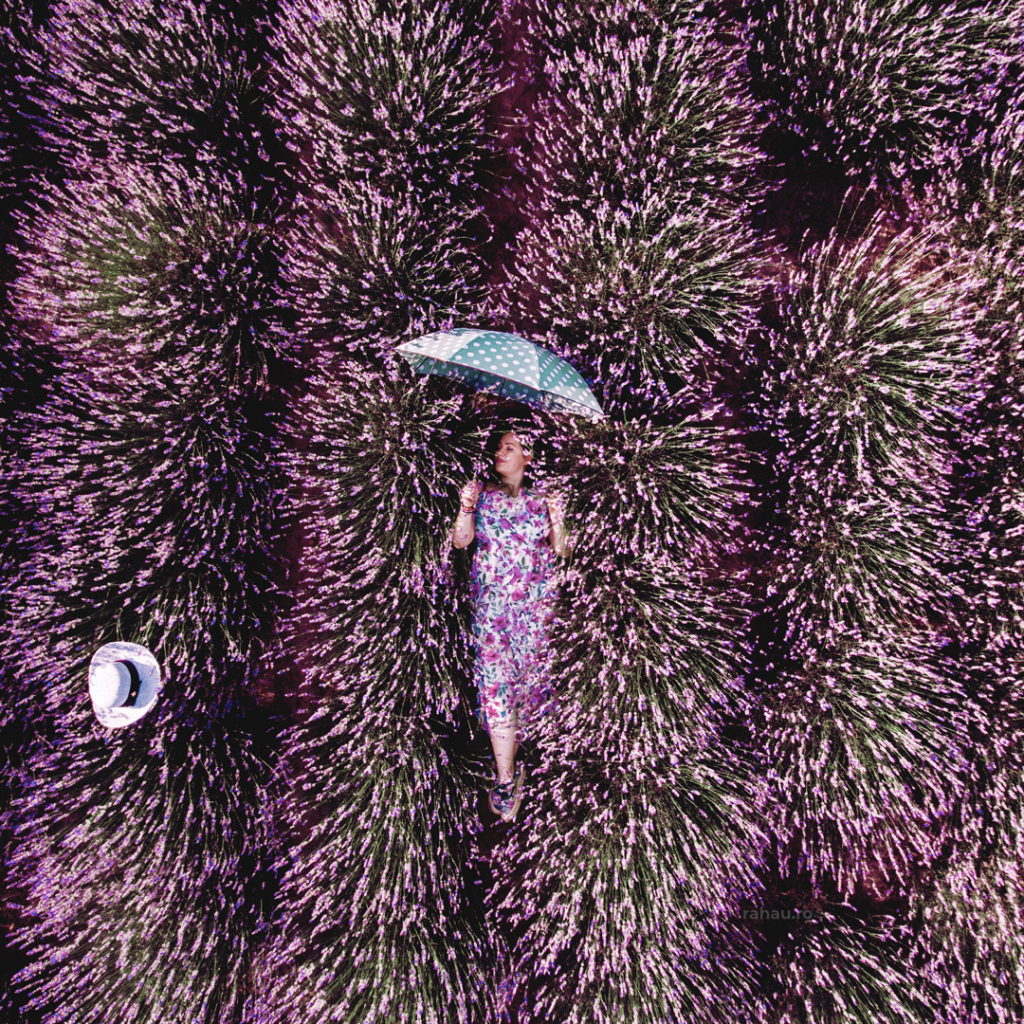 rahau.ro photography woman portrait beauty lifestyle drone lavender field